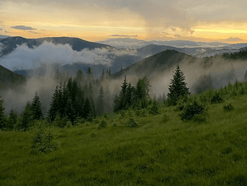 The future of digital communication